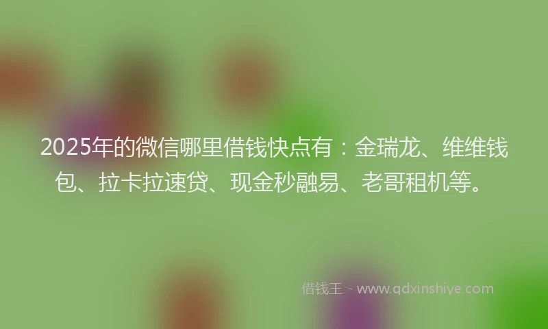 2025年的微信哪里借钱快点有：金瑞龙、维维钱包、拉卡拉速贷、现金秒融易、老哥租机等。