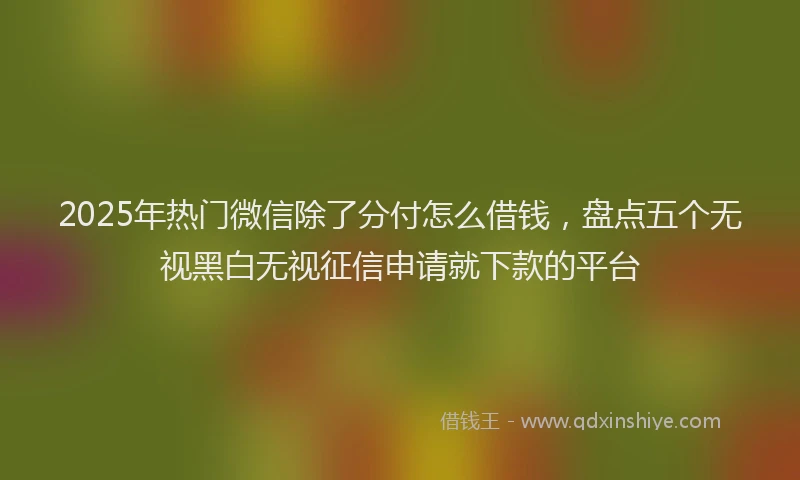 2025年热门微信除了分付怎么借钱，盘点五个无视黑白无视征信申请就下款的平台