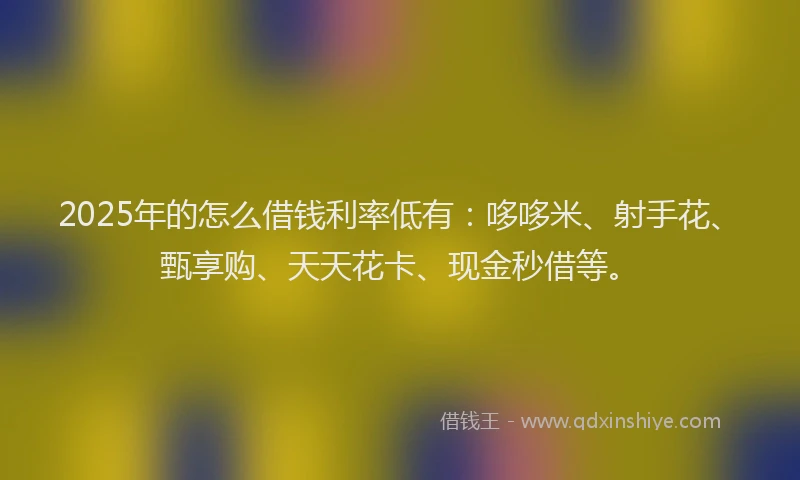 2025年的怎么借钱利率低有：哆哆米、射手花、甄享购、天天花卡、现金秒借等。