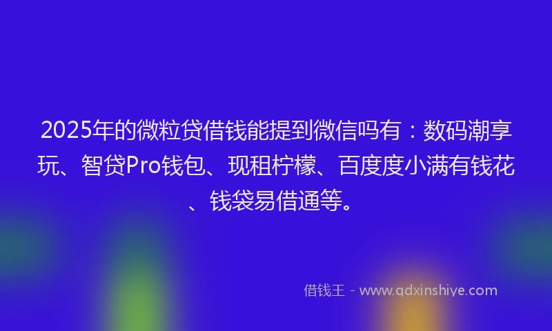 2025年的微粒贷借钱能提到微信吗有：数码潮享玩、智贷Pro钱包、现租柠檬、百度度小满有钱花、钱袋易借通等。