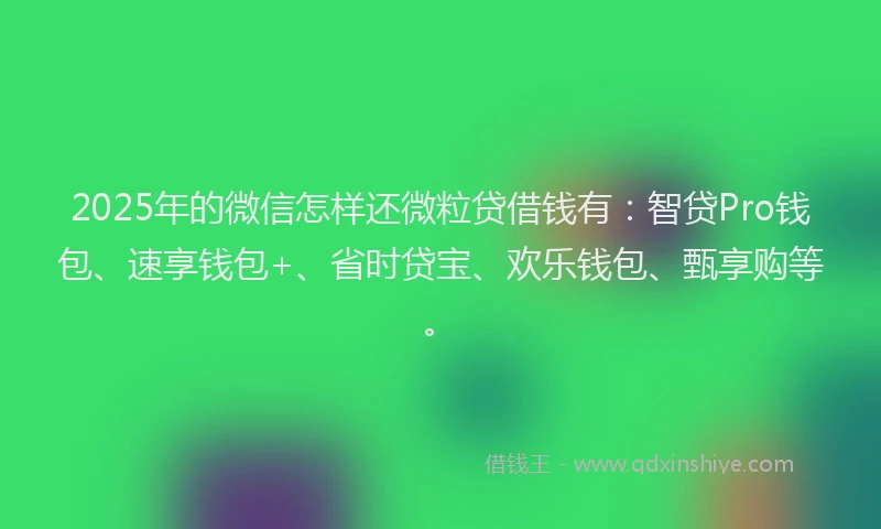 2025年的微信怎样还微粒贷借钱有：智贷Pro钱包、速享钱包+、省时贷宝、欢乐钱包、甄享购等。