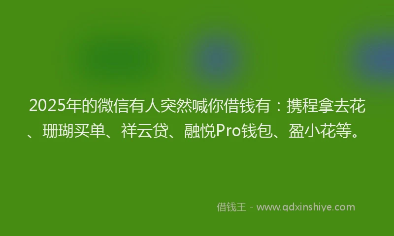 2025年的微信有人突然喊你借钱有：携程拿去花、珊瑚买单、祥云贷、融悦Pro钱包、盈小花等。