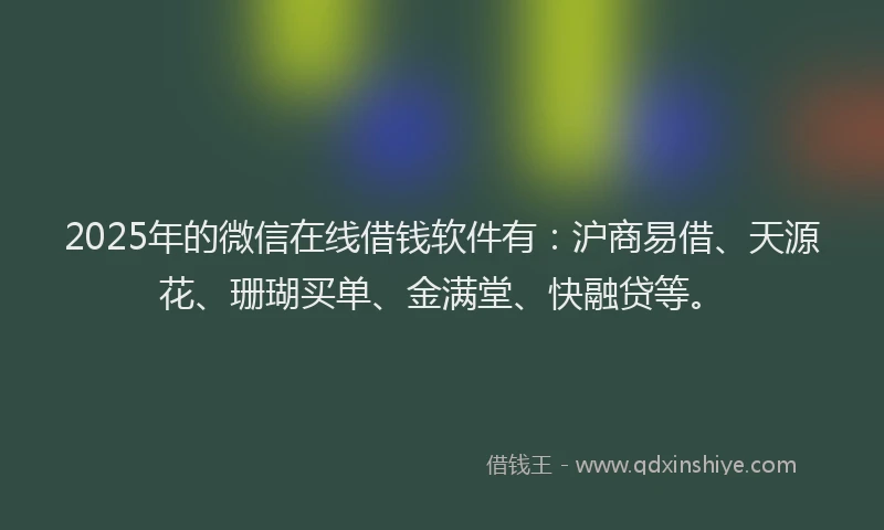 2025年的微信在线借钱软件有：沪商易借、天源花、珊瑚买单、金满堂、快融贷等。