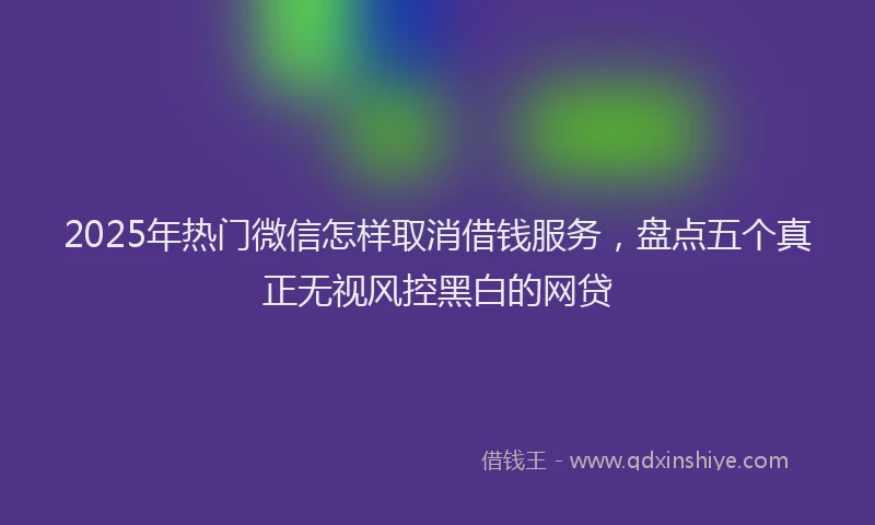 2025年热门微信怎样取消借钱服务，盘点五个真正无视风控黑白的网贷