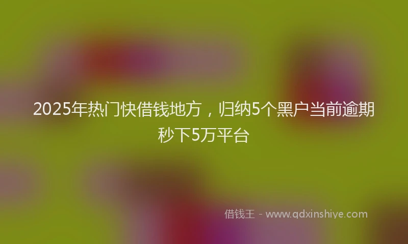 2025年热门快借钱地方,归纳5个黑户当前逾期秒下5万平台