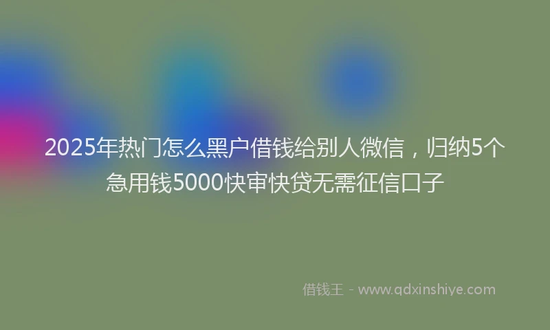2025年热门怎么黑户借钱给别人微信，归纳5个急用钱5000快审快贷无需征信口子