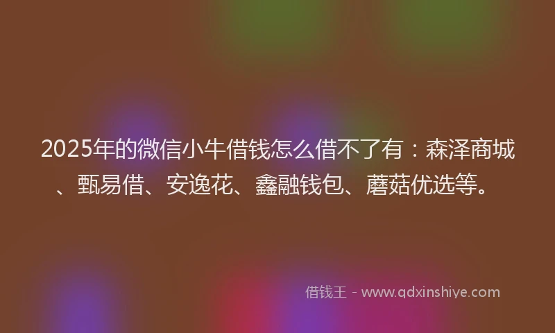 2025年的微信小牛借钱怎么借不了有：森泽商城、甄易借、安逸花、鑫融钱包、蘑菇优选等。