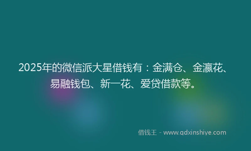 2025年的微信派大星借钱有：金满仓、金瀛花、易融钱包、新一花、爱贷借款等。
