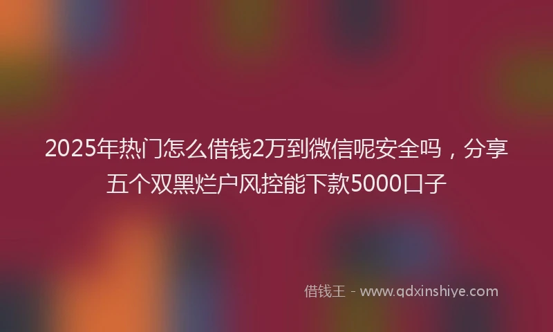 2025年热门怎么借钱2万到微信呢安全吗，分享五个双黑烂户风控能下款5000口子