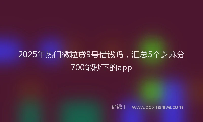2025年热门微粒贷9号借钱吗，汇总5个芝麻分700能秒下的app