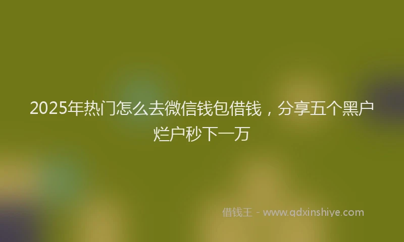 2025年热门怎么去微信钱包借钱，分享五个黑户烂户秒下一万