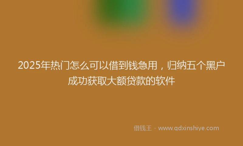 2025年热门怎么可以借到钱急用，归纳五个黑户成功获取大额贷款的软件