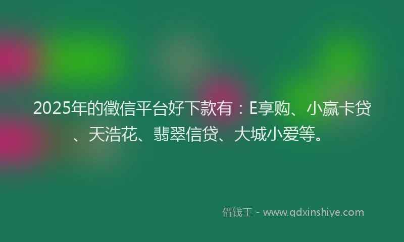2025年的徵信平台好下款有：E享购、小赢卡贷、天浩花、翡翠信贷、大城小爱等。