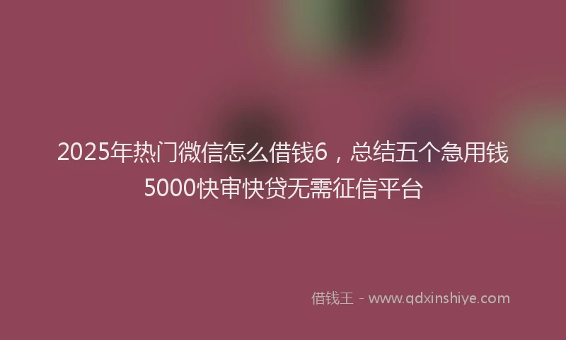 2025年热门微信怎么借钱6，总结五个急用钱5000快审快贷无需征信平台