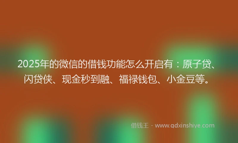 2025年的微信的借钱功能怎么开启有：原子贷、闪贷侠、现金秒到融、福禄钱包、小金豆等。