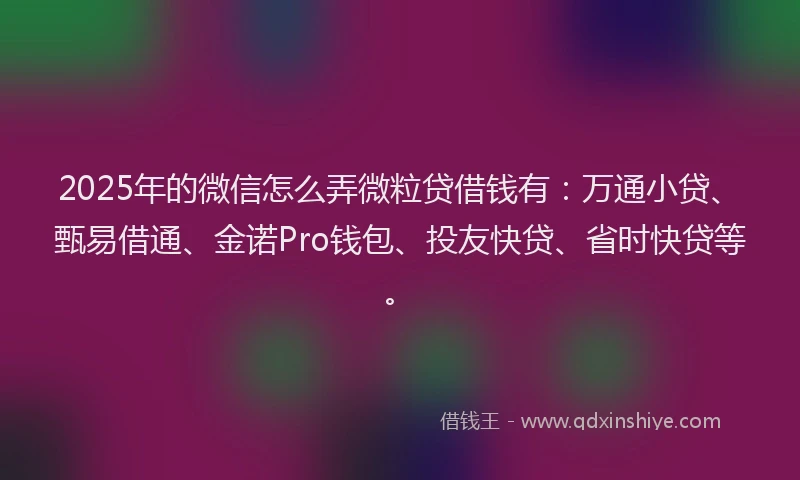 2025年的微信怎么弄微粒贷借钱有：万通小贷、甄易借通、金诺Pro钱包、投友快贷、省时快贷等。