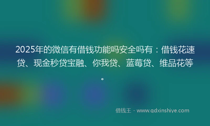 2025年的微信有借钱功能吗安全吗有：借钱花速贷、现金秒贷宝融、你我贷、蓝莓贷、维品花等。