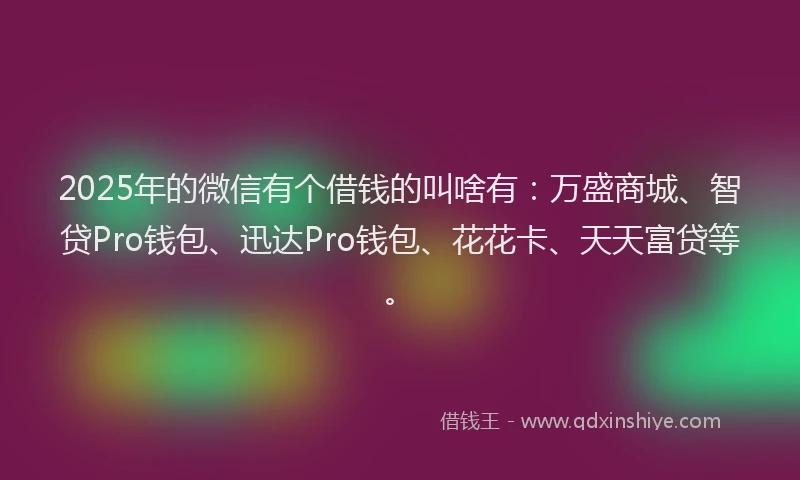2025年的微信有个借钱的叫啥有：万盛商城、智贷Pro钱包、迅达Pro钱包、花花卡、天天富贷等。