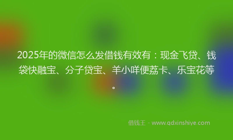 2025年的微信怎么发借钱有效有：现金飞贷、钱袋快融宝、分子贷宝、羊小咩便荔卡、乐宝花等。
