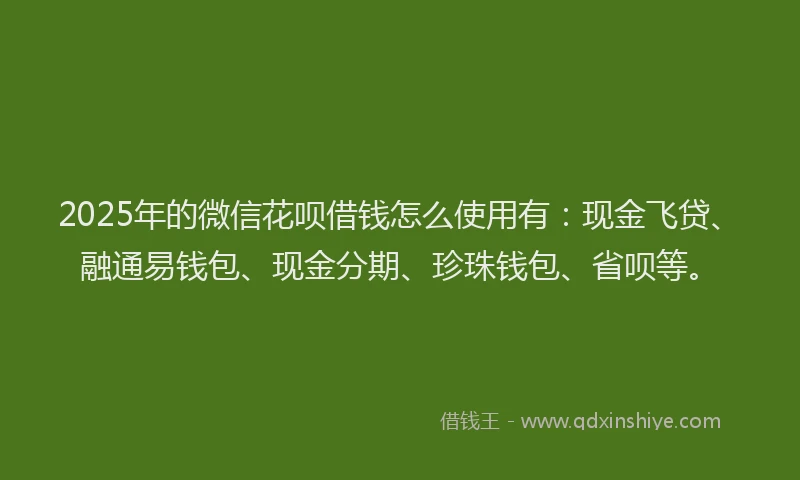 2025年的微信花呗借钱怎么使用有：现金飞贷、融通易钱包、现金分期、珍珠钱包、省呗等。