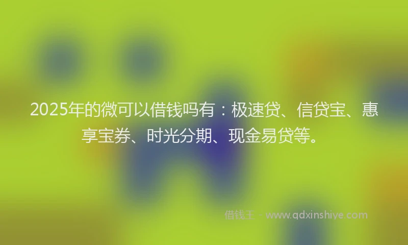 2025年的微可以借钱吗有：极速贷、信贷宝、惠享宝券、时光分期、现金易贷等。