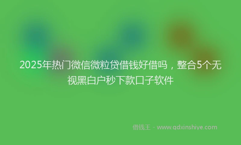 2025年热门微信微粒贷借钱好借吗，整合5个无视黑白户秒下款口子软件
