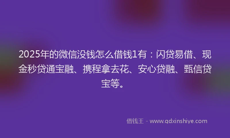 2025年的微信没钱怎么借钱1有：闪贷易借、现金秒贷通宝融、携程拿去花、安心贷融、甄信贷宝等。