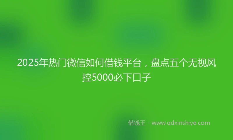 2025年热门微信如何借钱平台，盘点五个无视风控5000必下口子