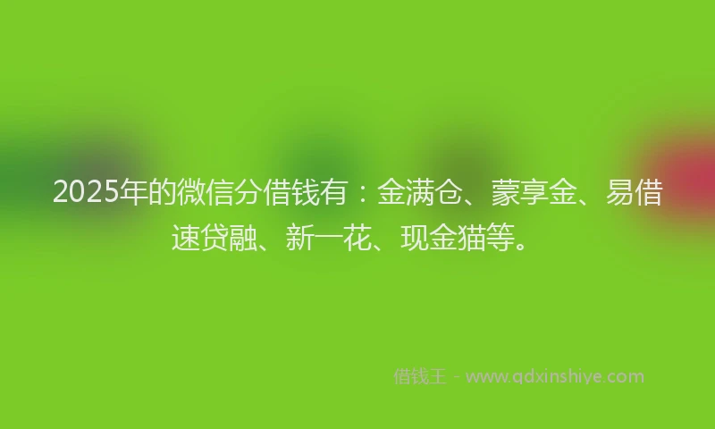 2025年的微信分借钱有：金满仓、蒙享金、易借速贷融、新一花、现金猫等。