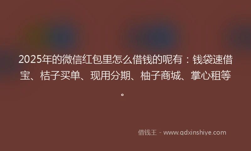 2025年的微信红包里怎么借钱的呢有：钱袋速借宝、桔子买单、现用分期、柚子商城、掌心租等。