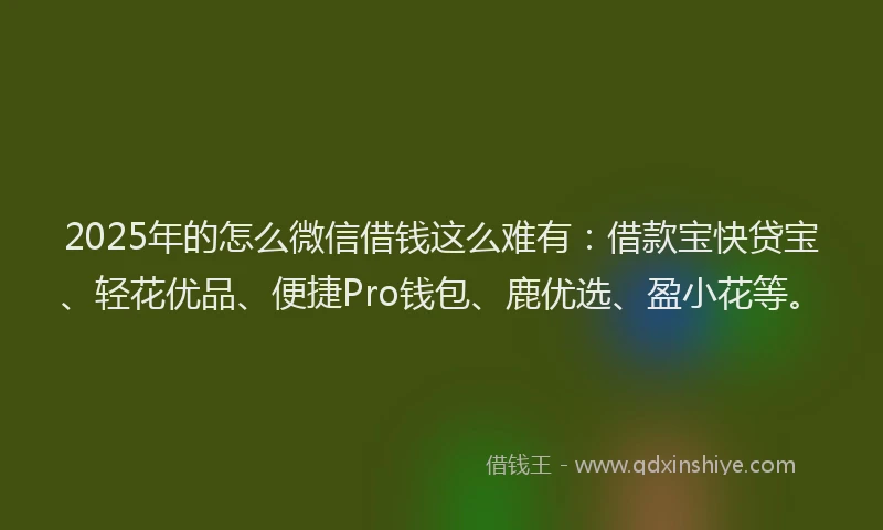 2025年的怎么微信借钱这么难有：借款宝快贷宝、轻花优品、便捷Pro钱包、鹿优选、盈小花等。