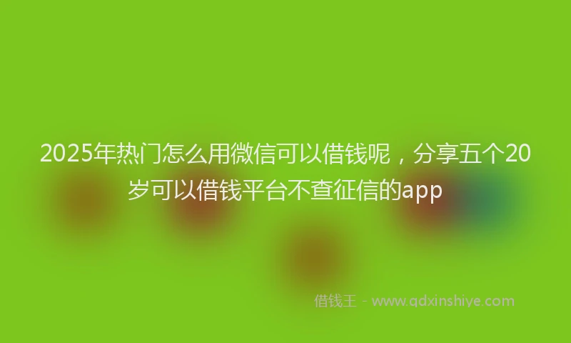 2025年热门怎么用微信可以借钱呢，分享五个20岁可以借钱平台不查征信的app