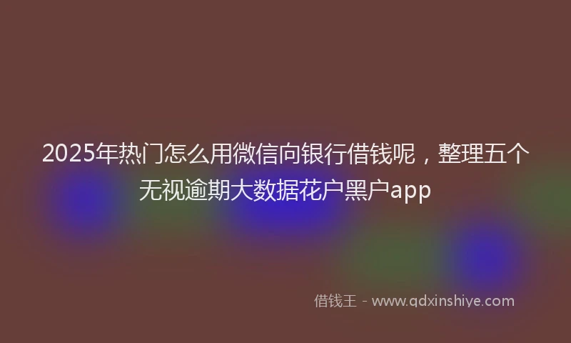 2025年热门怎么用微信向银行借钱呢，整理五个无视逾期大数据花户黑户app