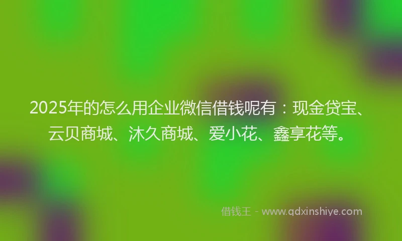 2025年的怎么用企业微信借钱呢有：现金贷宝、云贝商城、沐久商城、爱小花、鑫享花等。