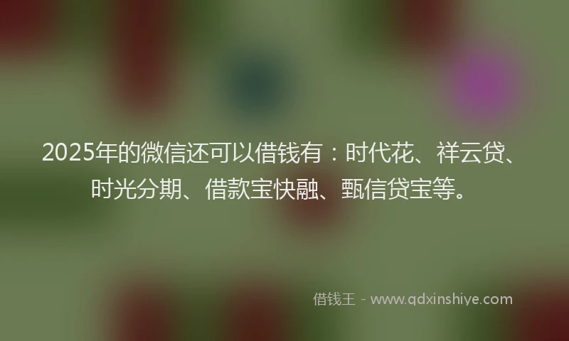 2025年的微信还可以借钱有：时代花、祥云贷、时光分期、借款宝快融、甄信贷宝等。