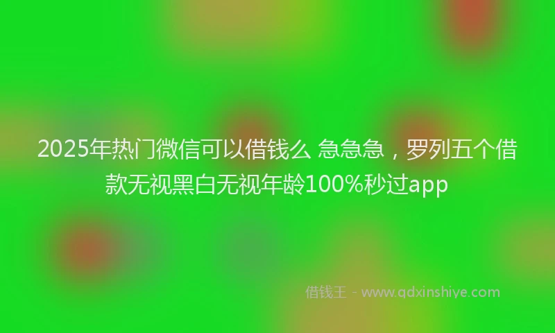 2025年热门微信可以借钱么 急急急，罗列五个借款无视黑白无视年龄100%秒过app