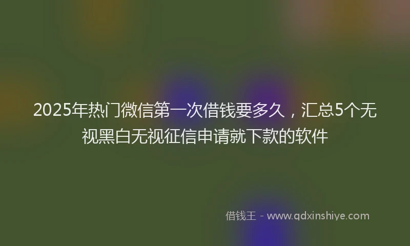 2025年热门微信第一次借钱要多久,汇总5个无视黑白无视征信申请就下款的软件