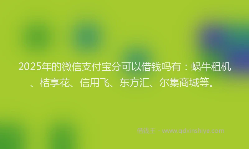 2025年的微信支付宝分可以借钱吗有：蜗牛租机、桔享花、信用飞、东方汇、尔集商城等。