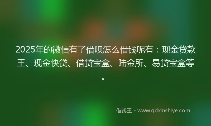 2025年的微信有了借呗怎么借钱呢有：现金贷款王、现金快贷、借贷宝盒、陆金所、易贷宝盒等。