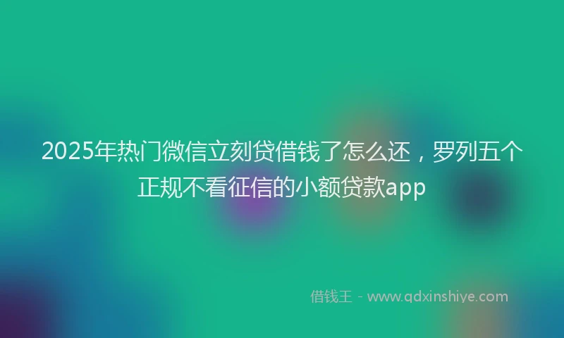 2025年热门微信立刻贷借钱了怎么还,罗列五个正规不看征信的小额贷款app