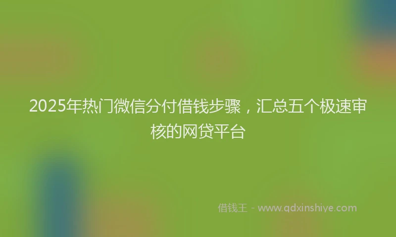 2025年热门微信分付借钱步骤，汇总五个极速审核的网贷平台