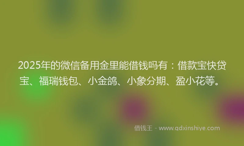 2025年的微信备用金里能借钱吗有：借款宝快贷宝、福瑞钱包、小金鸽、小象分期、盈小花等。