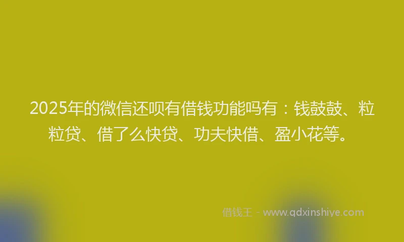 2025年的微信还呗有借钱功能吗有：钱鼓鼓、粒粒贷、借了么快贷、功夫快借、盈小花等。