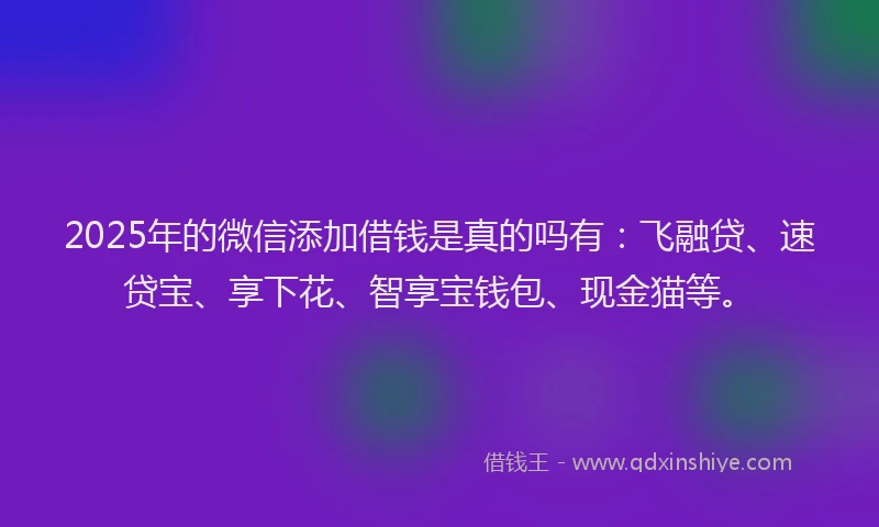 2025年的微信添加借钱是真的吗有:飞融贷、速贷宝、享下花、智享宝钱包、现金猫等。
