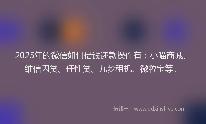 2025年的微信如何借钱还款操作有：小喵商城、维信闪贷、任性贷、九梦租机、微粒宝等。