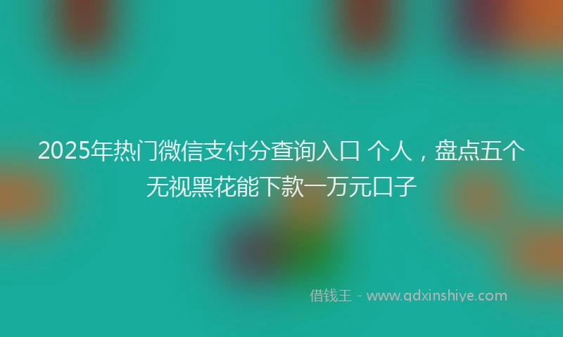 2025年热门微信支付分查询入口 个人，盘点五个无视黑花能下款一万元口子