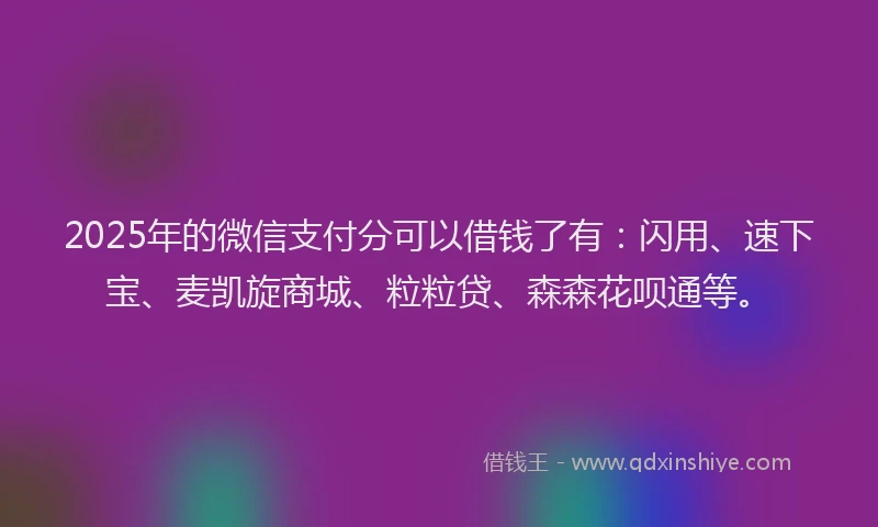 2025年的微信支付分可以借钱了有：闪用、速下宝、麦凯旋商城、粒粒贷、森森花呗通等。