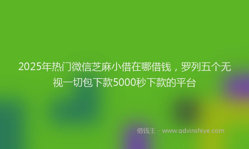2025年热门微信芝麻小借在哪借钱，罗列五个无视一切包下款5000秒下款的平台