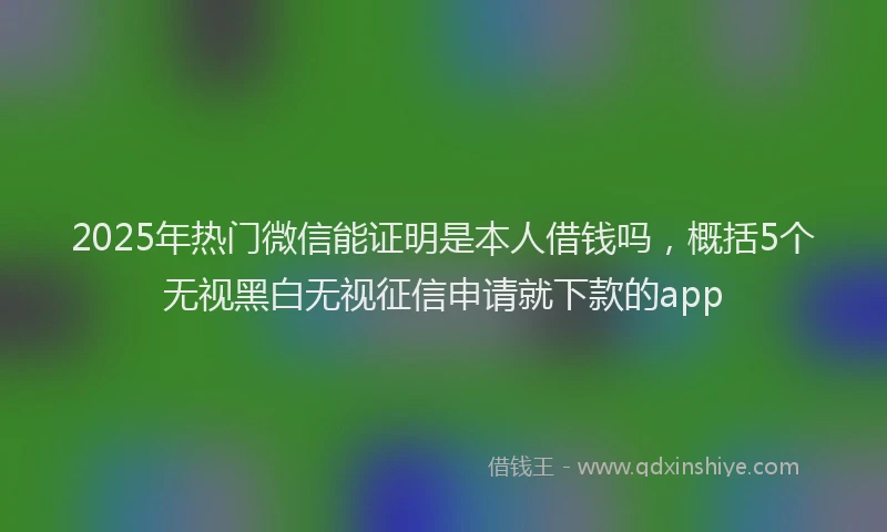 2025年热门微信能证明是本人借钱吗，概括5个无视黑白无视征信申请就下款的app