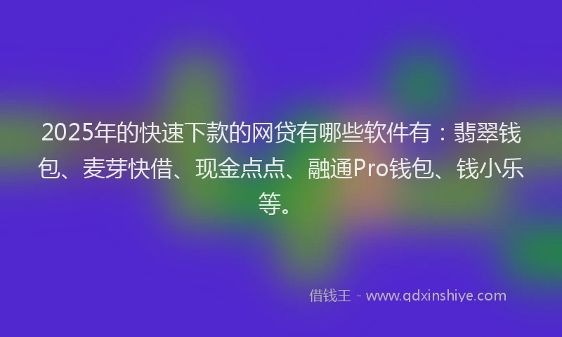 2025年的快速下款的网贷有哪些软件有：翡翠钱包、麦芽快借、现金点点、融通Pro钱包、钱小乐等。